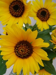 img_20170725_133930-2