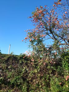 %e4%b8%8b%e8%a8%98%e2%91%a1