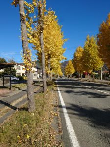 %e3%82%a4%e3%83%81%e3%83%a7%e3%82%a6