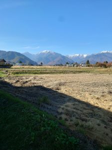 %e3%82%a2%e3%83%ab%e3%83%97%e3%82%b9